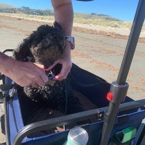 Meet your Posher, Claire